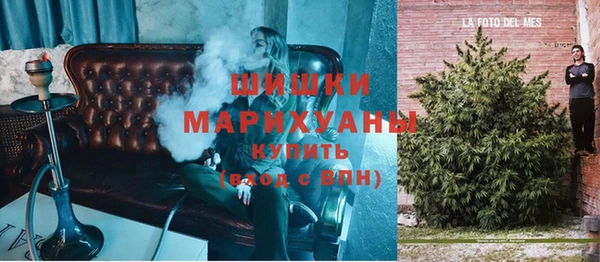 ПСИЛОЦИБИНОВЫЕ ГРИБЫ Балабаново