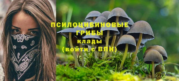 кокс Баксан