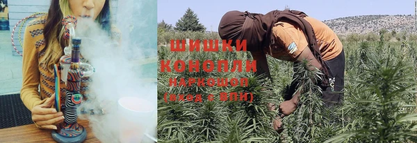 ПСИЛОЦИБИНОВЫЕ ГРИБЫ Балабаново