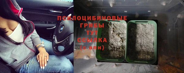 ПСИЛОЦИБИНОВЫЕ ГРИБЫ Балабаново