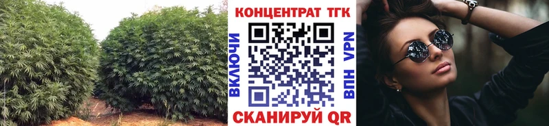 площадка какой сайт  Шагонар  Дистиллят ТГК жижа  ссылка на мегу сайт 